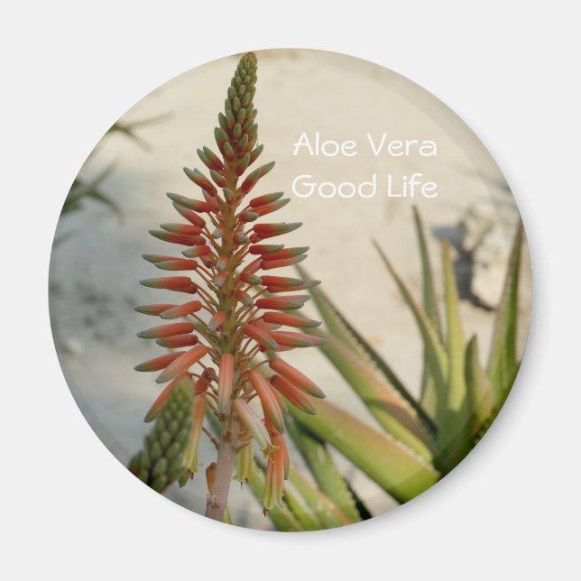 Aloe Vera Pflanze Blume Button Magnet (Vorne)