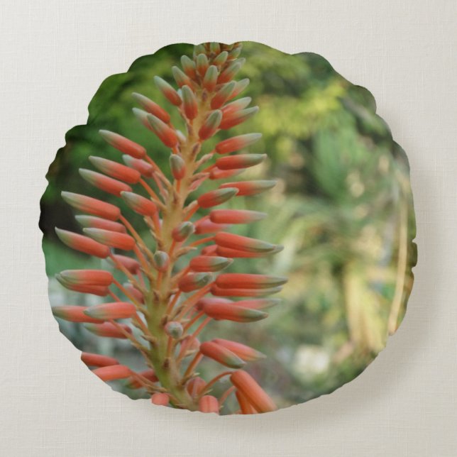 Aloe Vera Pflanze Foto Rundkissen Rundes Kissen (Vorderseite)