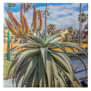 Aloe Vera Pflanze Keramik Fliese