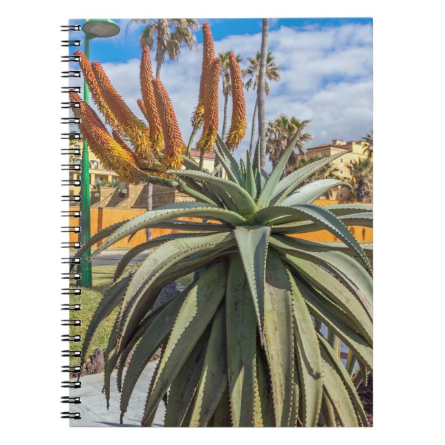 Aloe Vera plante et carnet de fleurs (Devant)