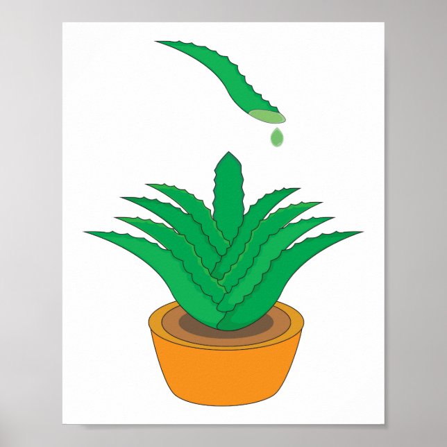 Aloe Vera Poster (Vorne)