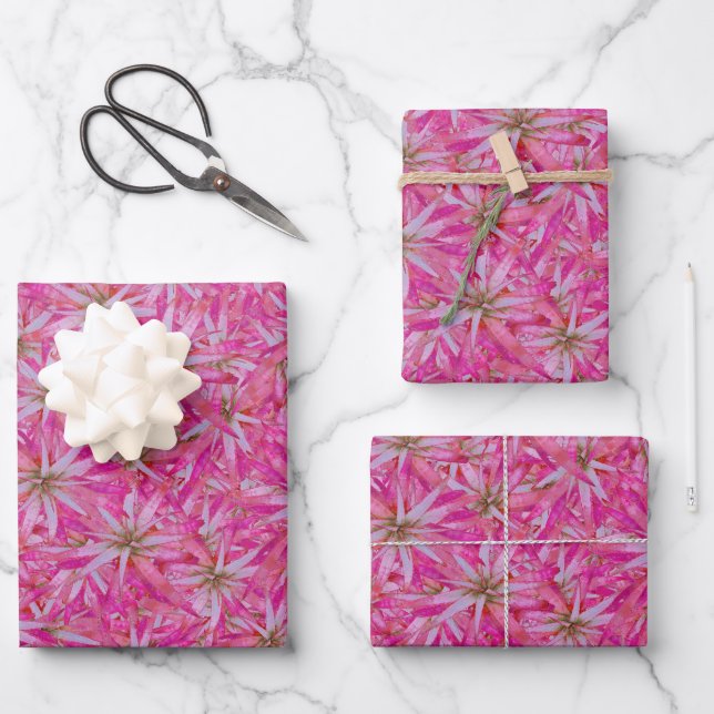 Aloe vera rotes Pflanze Motiv kompliziertes Muster Geschenkpapier Set (Vorderseite)