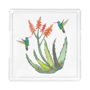 Aloe Vera Sukkulente Blume Hummingbirds Wasserfarb Acryl Tablett