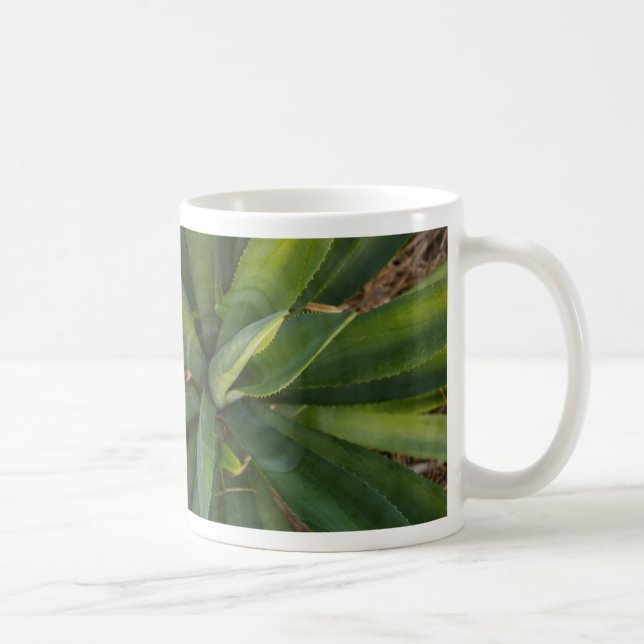 Aloe Vera Tasse (Rechts)