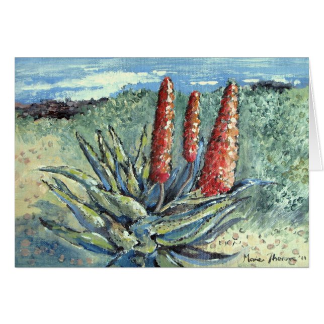 Aloès de montagne (Devant horizontal)