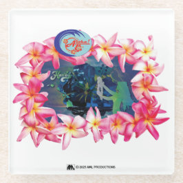 ALOHA 2 5 VERSION 2 GLASUNTERSETZER