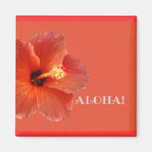 Aloha ! Aimant de ketmie