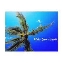 Aloha aus Hawaii
