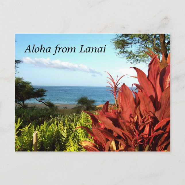 Aloha aus Lanai Hawaii Postkarte (Vorderseite)