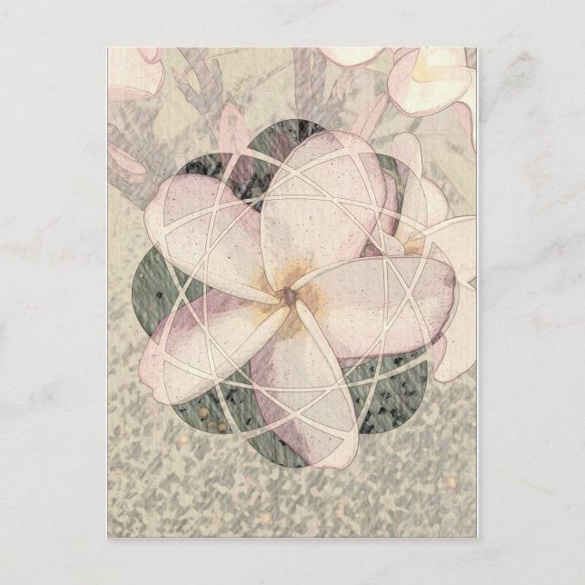 Aloha Blossom Postkarte (Vorderseite)