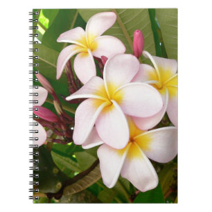 Aloha blüht hawaiischer Frangipani Brautparty Notizblock