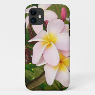 Aloha blüht hawaiischer Frangipani Plumerias title_seo2