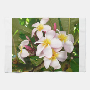 Aloha blüht hawaiischer Frangipani Plumerias Küchentuch