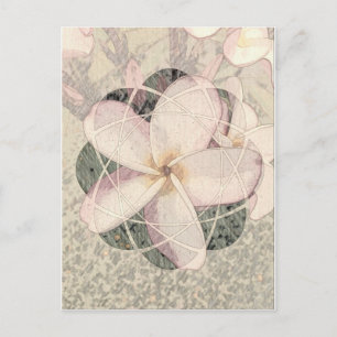 Aloha-Blüte Postkarte