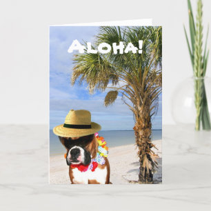 Aloha Boxerhund auf der Strandgrußkarte Karte