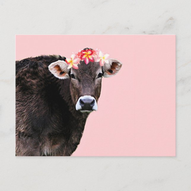 Aloha Cow, Lei, Pink Sommerzeit Spaß Postkarte (Vorderseite)
