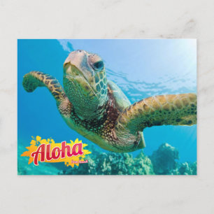 Aloha de Hawaii Honu Green Sea Turtle Carte postal