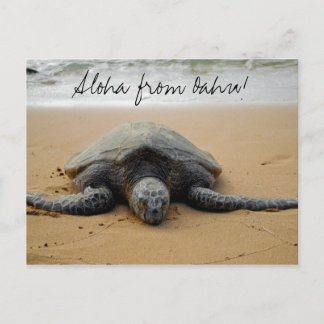 Aloha d'Oahu ! Carte postale avec la tortue de mer