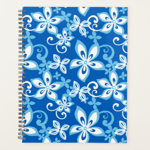 ALOHA HAWAII (BLUES)