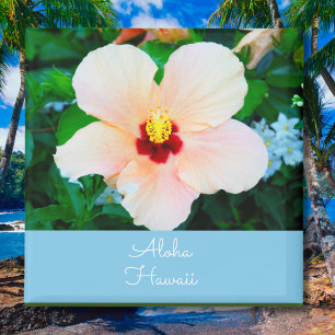 Aloha Hawaii Peach Color Staat Blume Hibiskus Magnet
