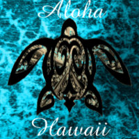 Aloha Hawaii