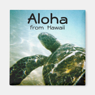 Aloha Hawaii Sea Turtle Magnet
