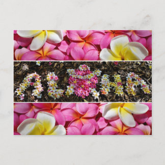 Aloha Honu Turtle Hawaii Plumeria Blume Paradise Postkarte