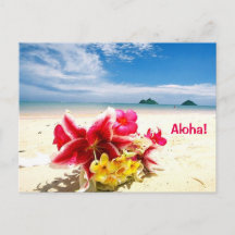 Aloha Post Card