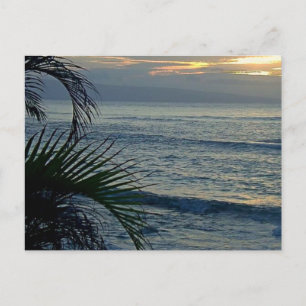 Aloha Postkarte