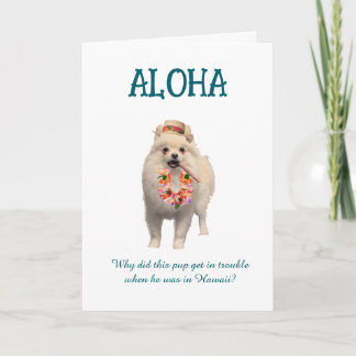 Aloha-Scherzkarte mit Hund Karte