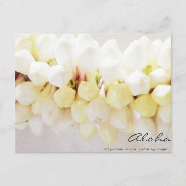 Aloha und Mahalo Postcard Postkarte (Vorderseite)