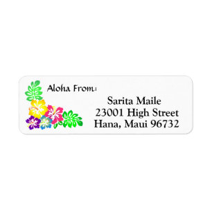 Aloha vom tropischen Hibiskus