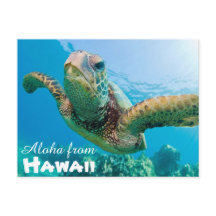 Aloha von Hawaii Honu Green Sea Turtle