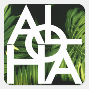 Aloha weiße grafische Hawaii-Palme Quadratischer Aufkleber