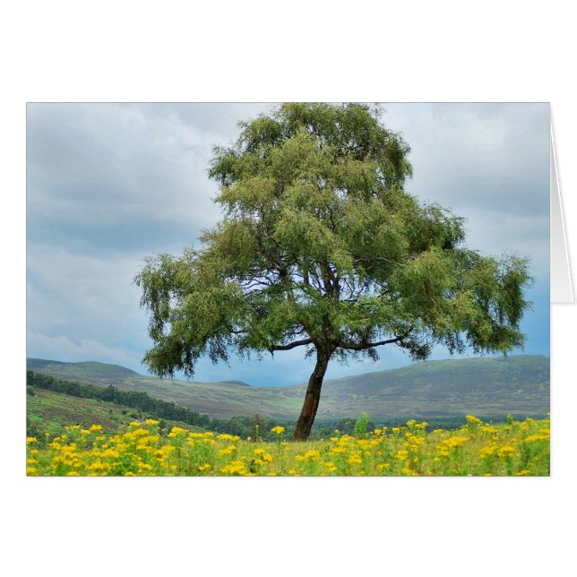 Alone wieder (Vorderseite (Horizontal))