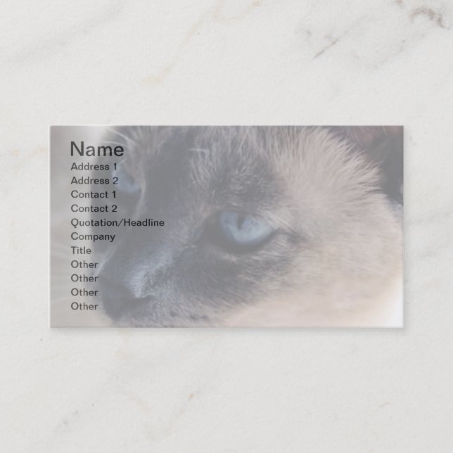 Aloof Siamese Cat Business Card Visitenkarte (Vorderseite)
