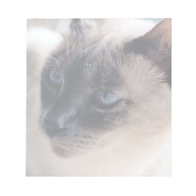 Aloof Siamese Cat Notepad Notizblock (Vorderseite)