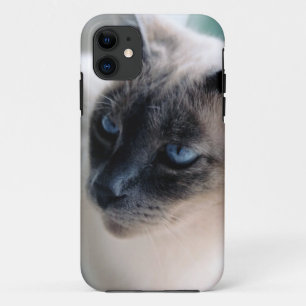 Aloof Siamese Chat Coque-Mate iPhone 5 Coque