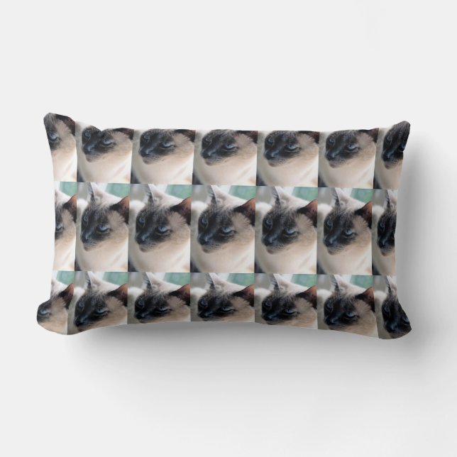 Aloof Siamese Chat Lumbar Coussin (Recto)