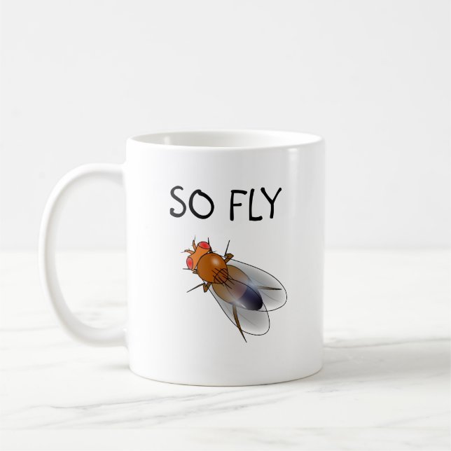Alors mouche Drosophila mug (Gauche)