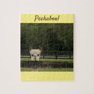 Alpaca