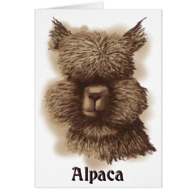 Alpaca (Vorne)