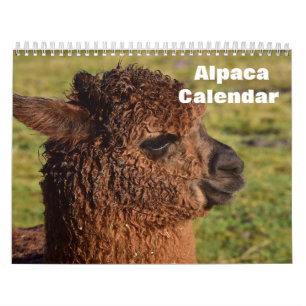 Alpaca 2025 kalender
