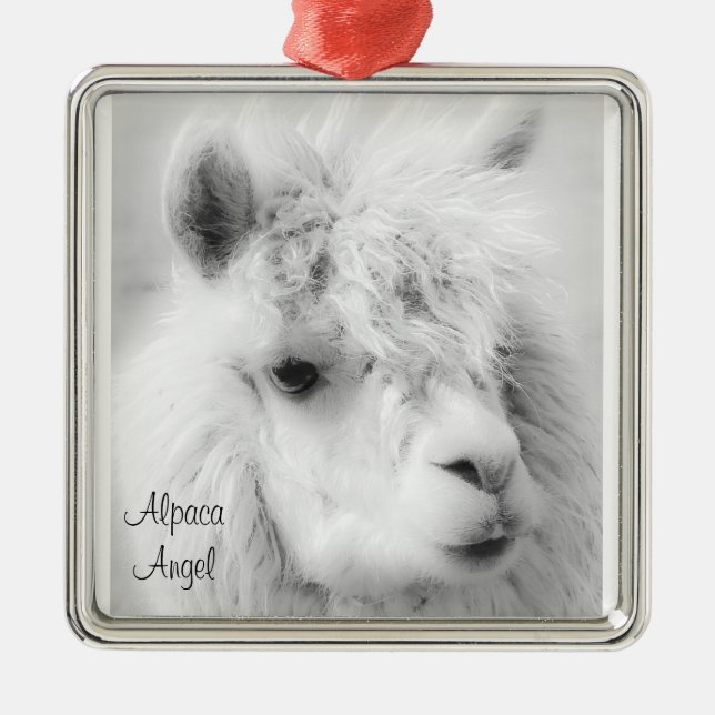 Alpaca Angel blanc Alpaga Angel Ornement (Devant)