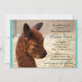 Alpaca Baby Shower Invitations Boy Einladung