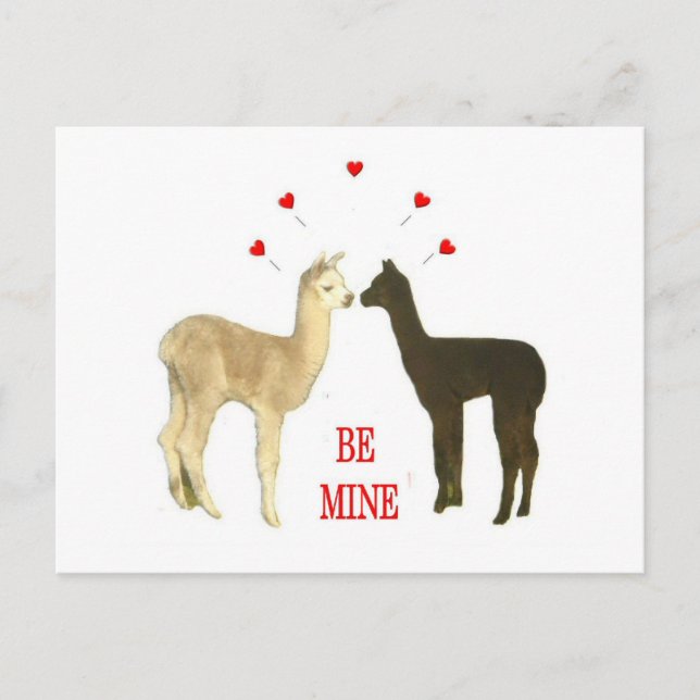Alpaca be mine Valentine Feiertagspostkarte (Vorderseite)