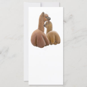 Alpaca Buddies Rack Card