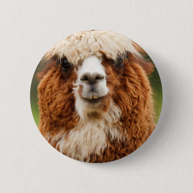 Alpaca Button (Vorderseite)