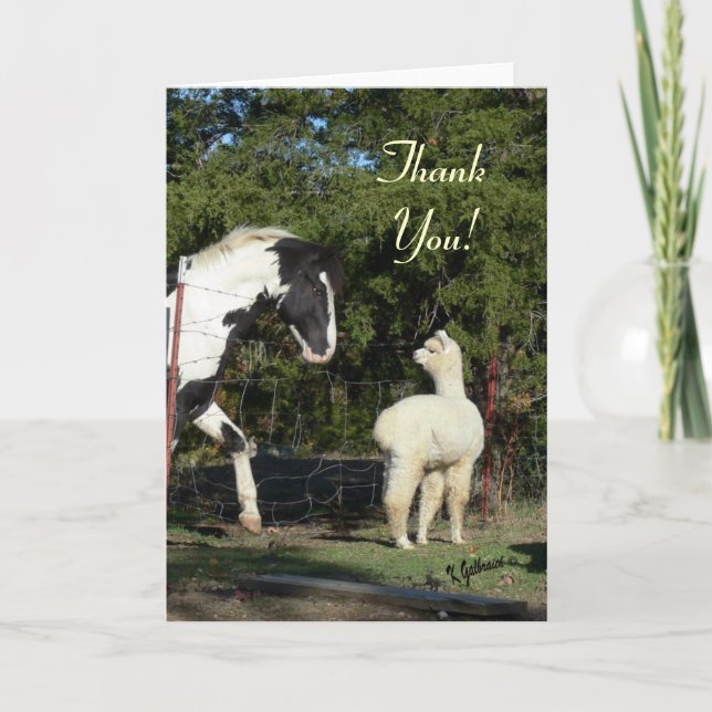 Alpaca Carte de remerciements (Devant)