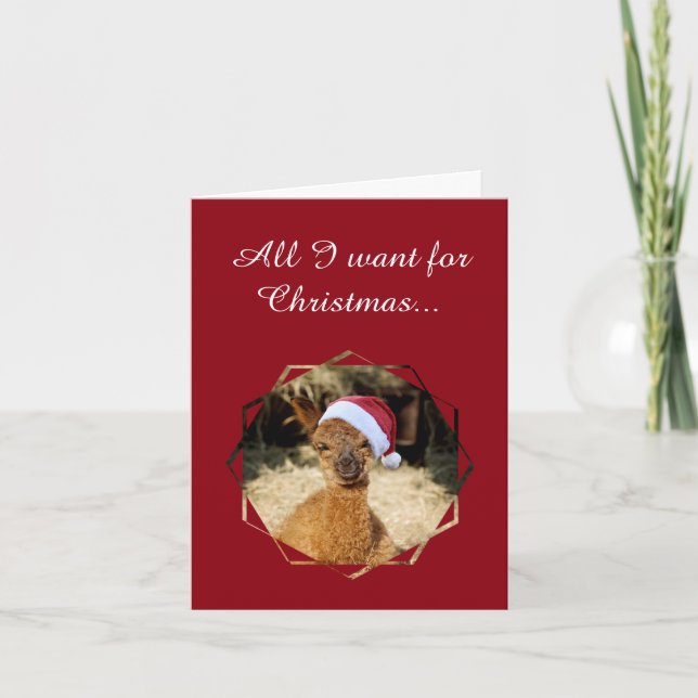 Alpaca Christmas Cards Feiertagskarte (Vorderseite)